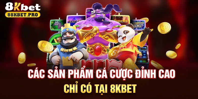 Cac San Pham Ca Cuoc Dinh Cao Chi Co Tai K8